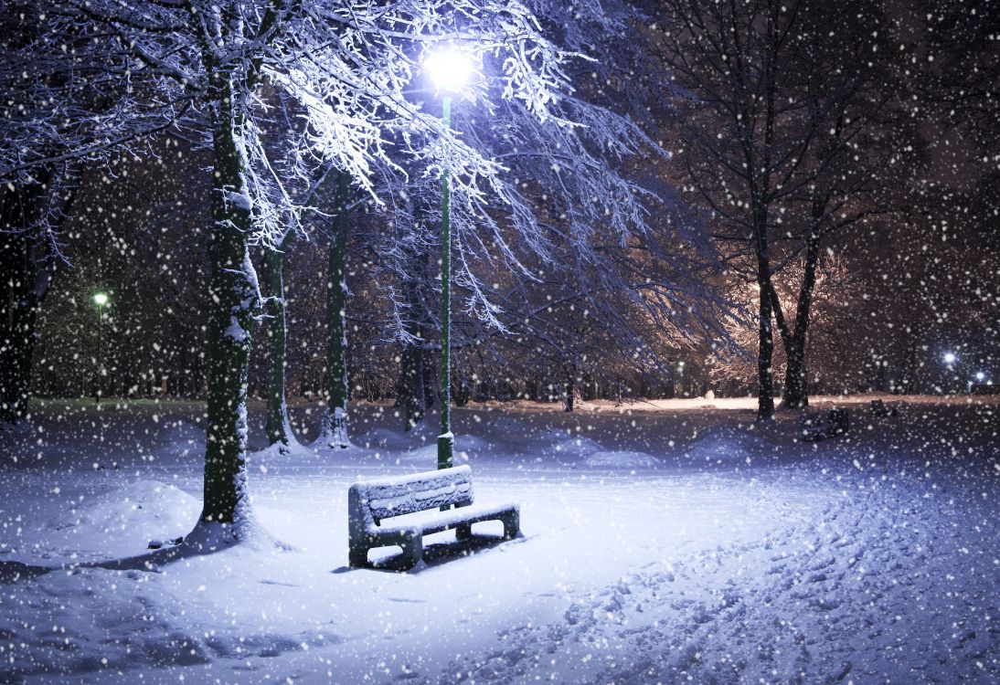 Обои зима, снег, природа, замораживание, дерево в разрешении 5268x3609