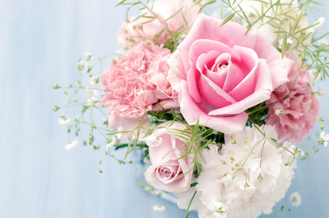 Обои Роза, цветочный букет, розовые цветы, розовый, сад роз в разрешении 6040x4000