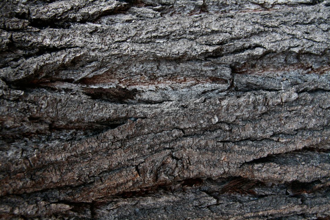 Обои древесина, Кора, дерево, рок, геология в разрешении 3000x2000