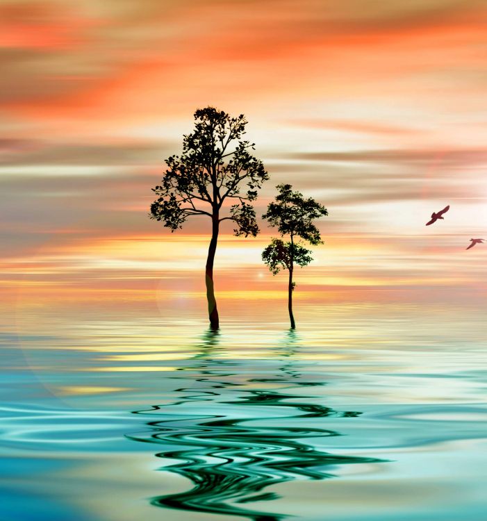 Обои Huawei, Huawei Nova, Huawei Nova 4, обои для huawei nova4, huawei nova 4e в разрешении 2160x2310