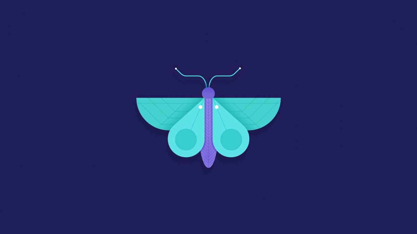 Обои бабочка минималист, минимализм, насекомое, абстрактное искусство, бирюза в разрешении 2560x1440